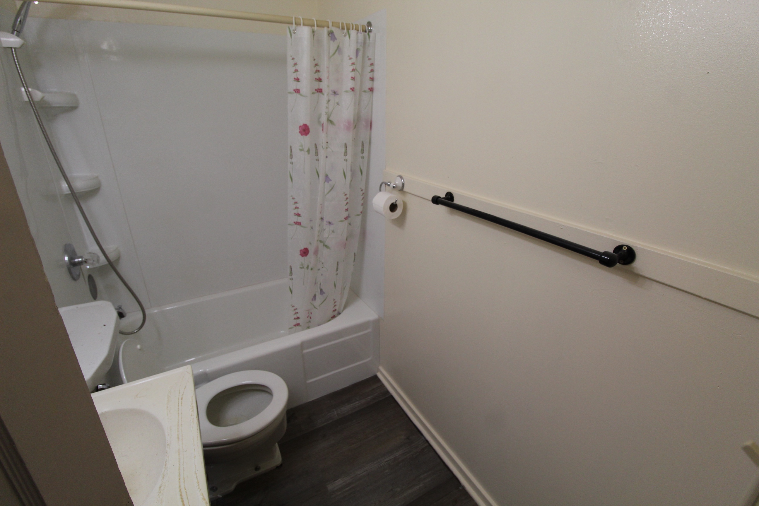 The bathroom